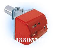 RS44/1單段火燃?xì)馊紵?RS44MZ兩段火燃?xì)馊紵?></a>	
                <a href=